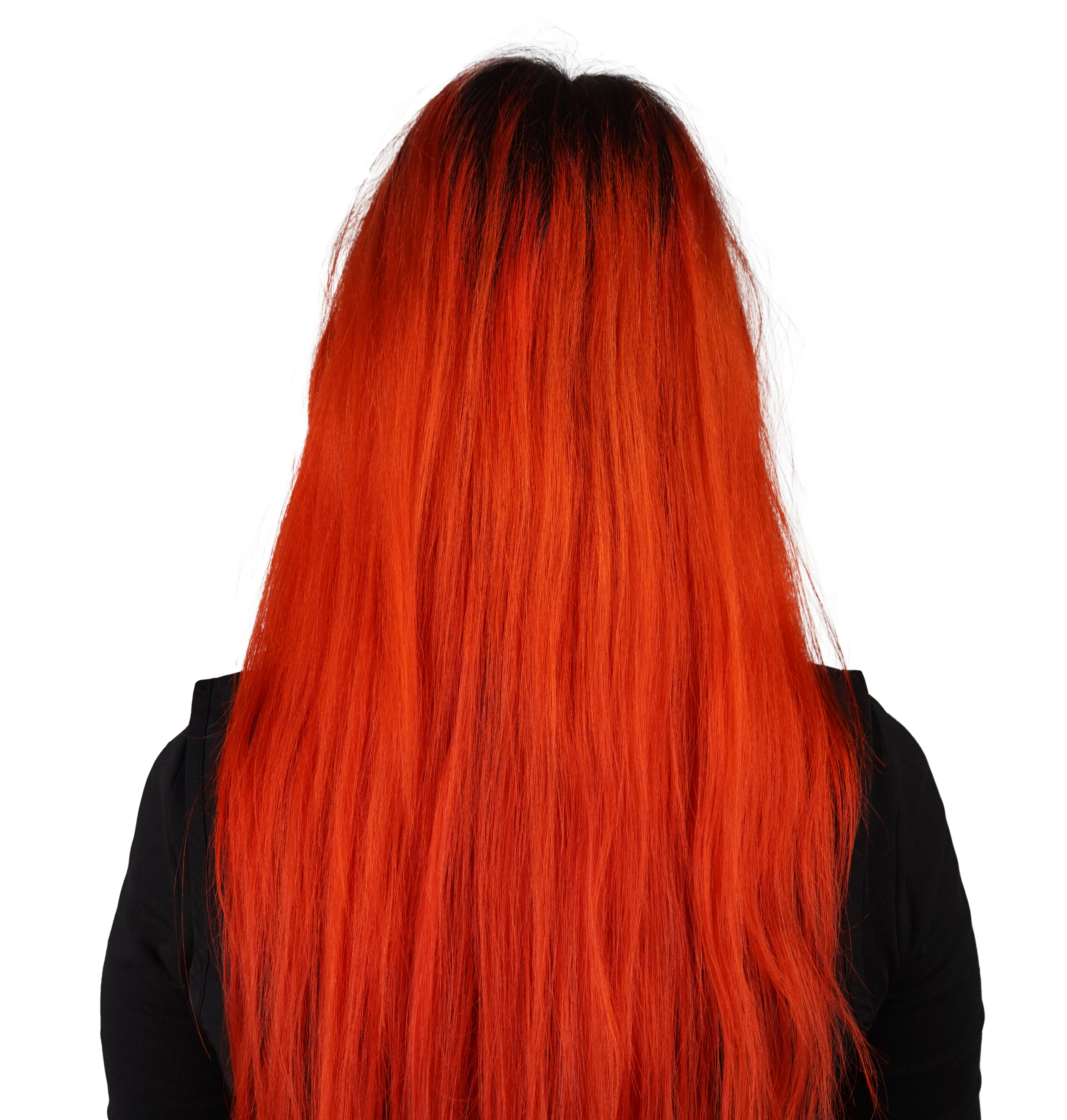 CaptainCarrot_Model_back